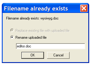 Filename exists dialog box with replace feature disabled.
