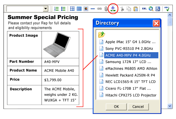 Screenshot of the Directory Web Service inserting data into the editor.