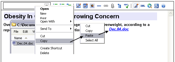 Copy and paste an attachment into the editor.