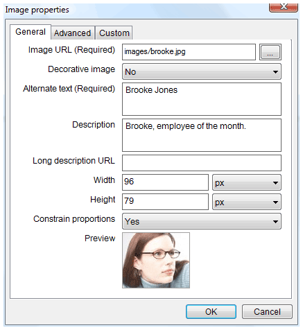 Screen shot of image properties dialog box for a non-decorative image.