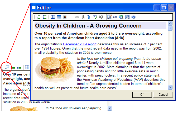 Screen shot: expanded editor window