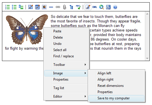 Context menu showing the option to save image to local computer.