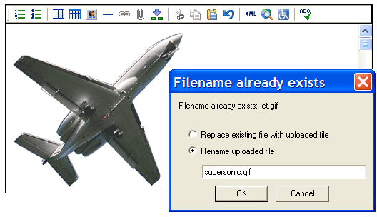 Dialog box prompting the user to replace or rename an uploading image.